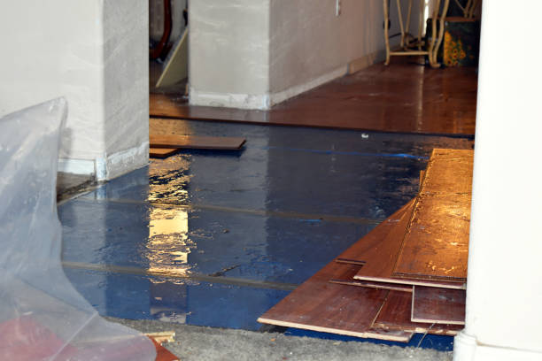 Professional Sewage Cleanup technician working in Malone, TX
