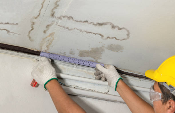 Reliable Sewage Cleanup contractor in Malone, TX by Water Damage Irwin